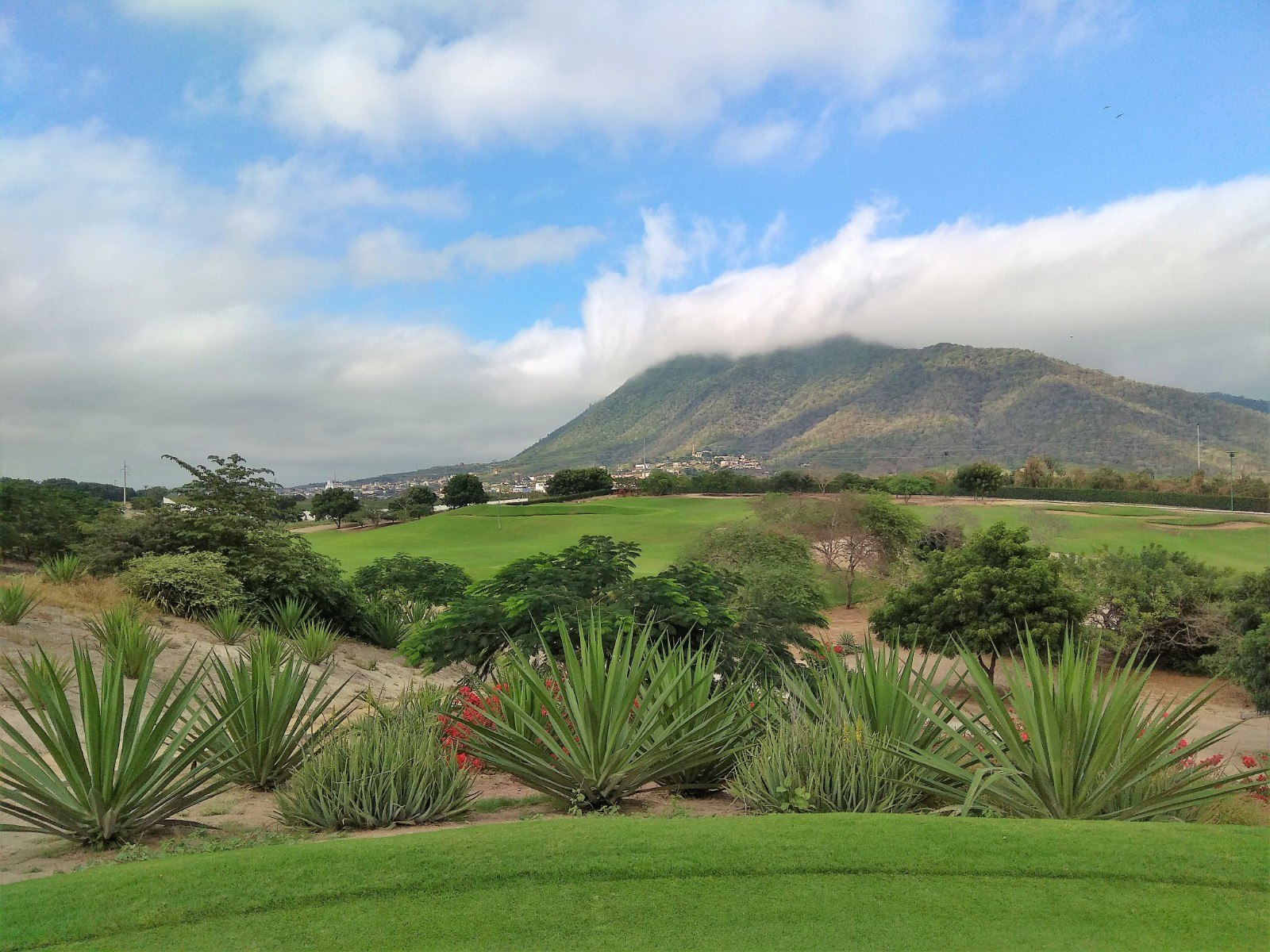 View of Cerro Montecristi